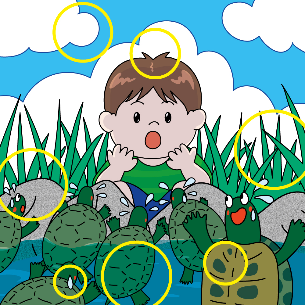 亀の甲羅干し(正解)